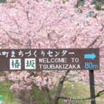 井手町まちづくりセンター椿坂　看板