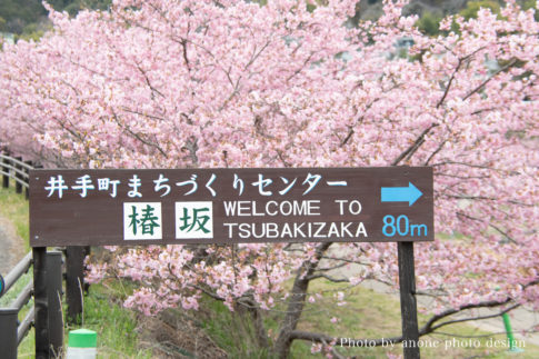 井手町まちづくりセンター椿坂　看板